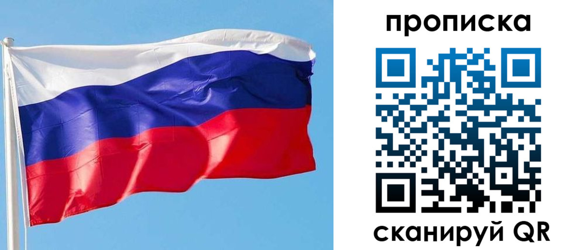 прописка поиск в Зеленогорске